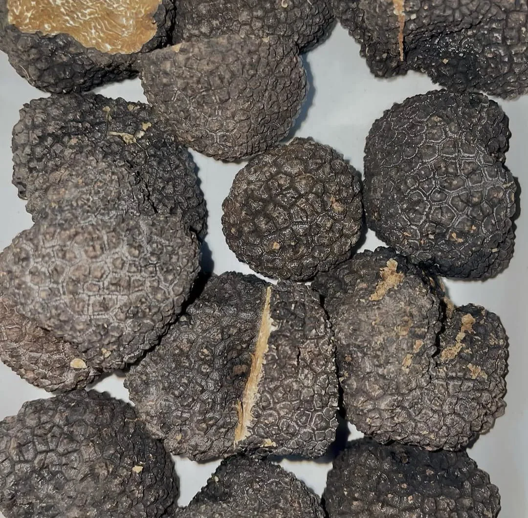 Tartufo nero fresco